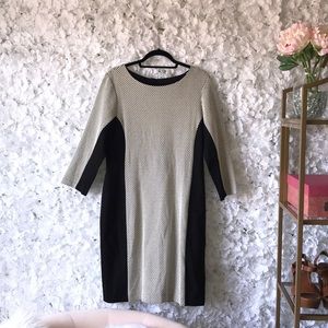 Banana Republic Business Casual Dress